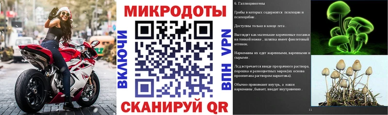 Псилоцибиновые грибы Cubensis  Купить  Ясногорск 